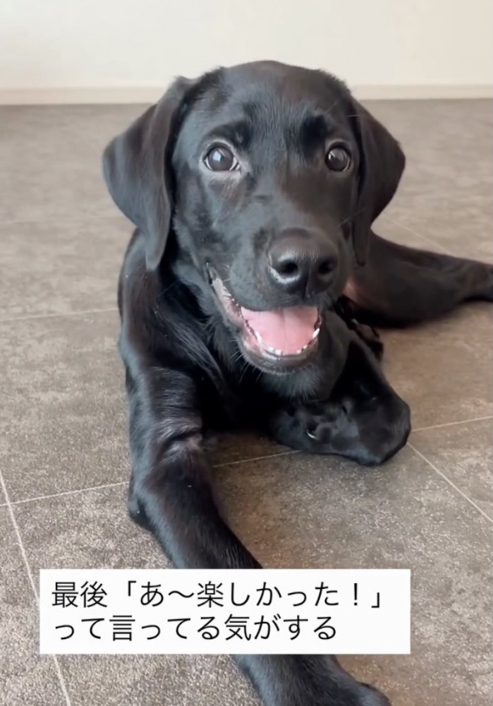 笑顔いっぱいの毎日です