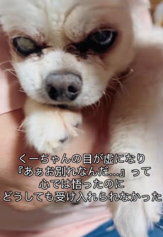 徐々に目が虚ろに…