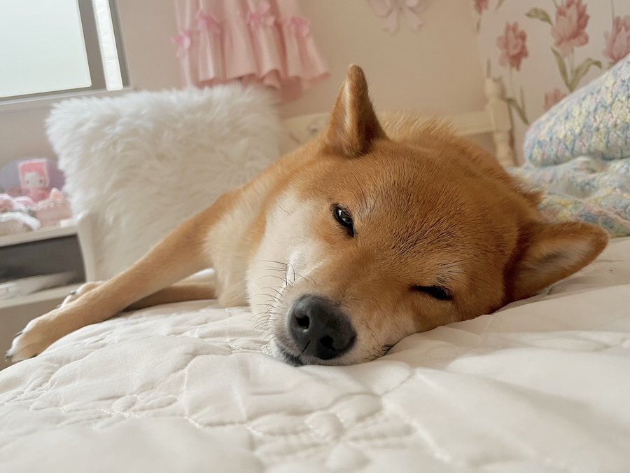 ぐっすり