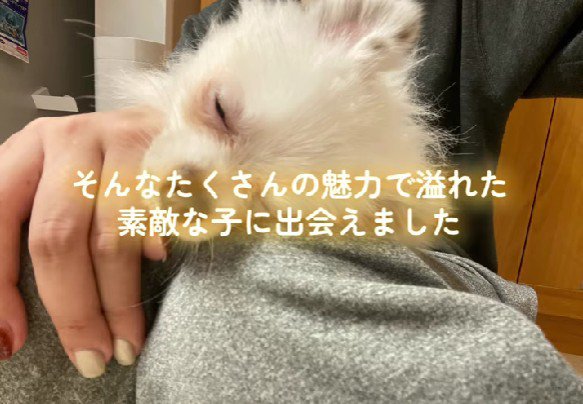 たくさんの魅力を発見