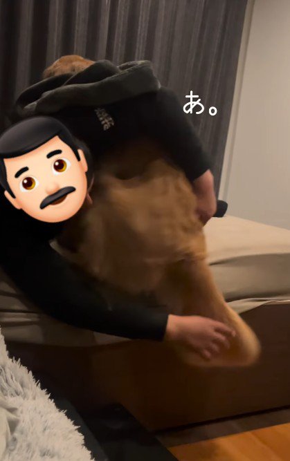 パパが手伝ってくれた♪