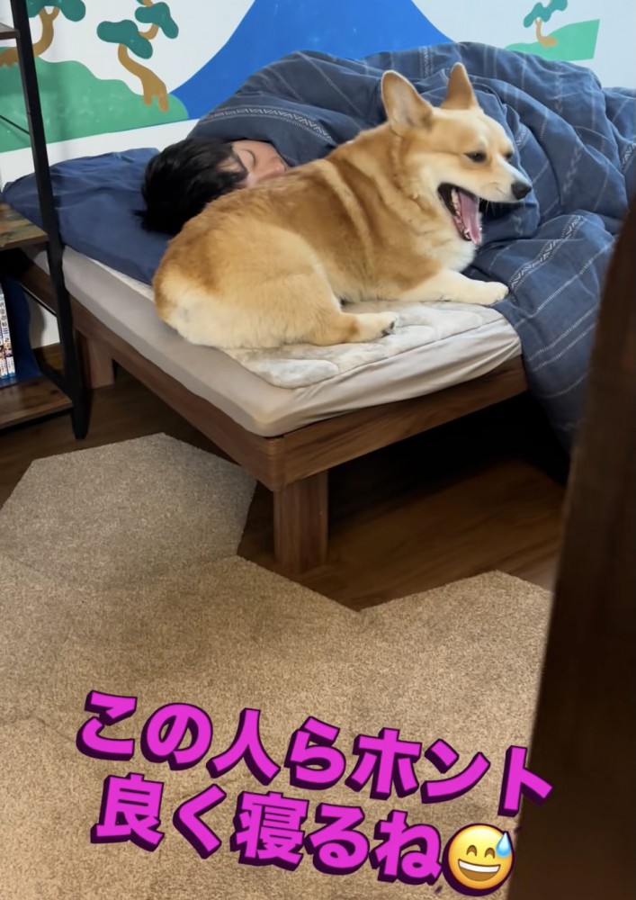 どぁーー！
