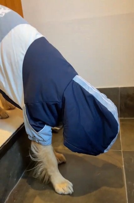 フードで顔が隠れたならちゃん