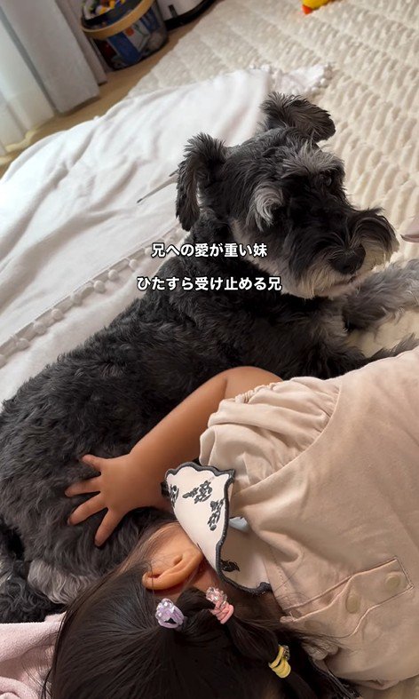 こたろう君を撫でる女の子2