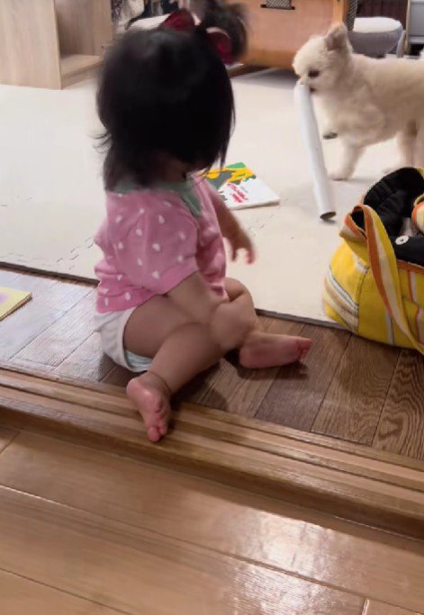 勝者はもちちゃんでした