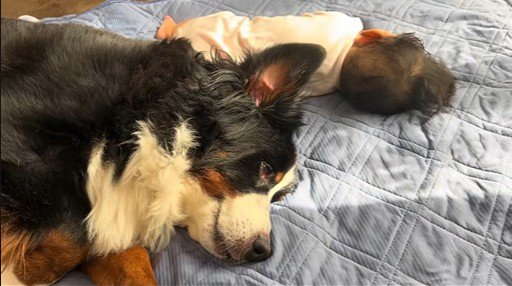 赤ちゃんが寝ている時も隣に