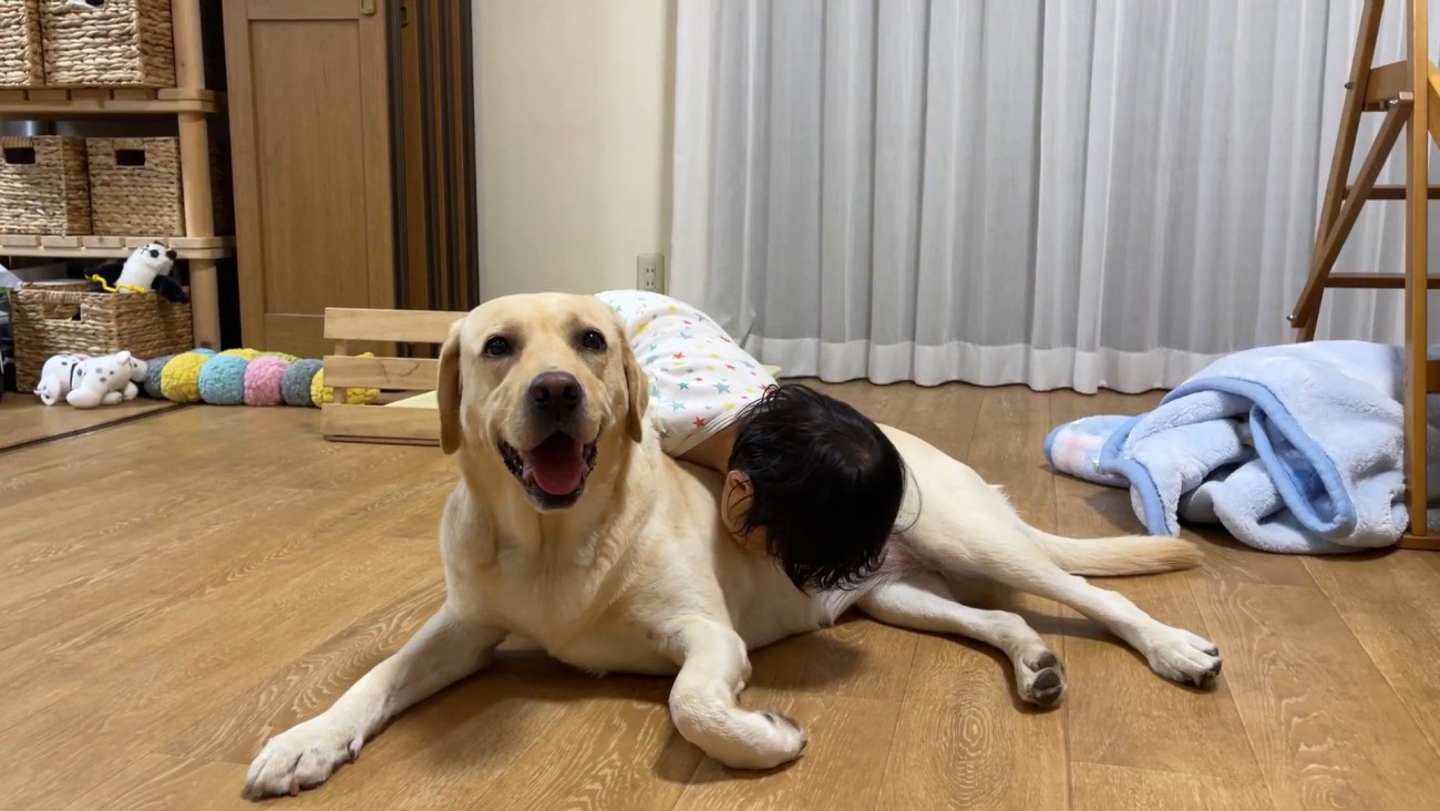 女の子がちょっかいを掛けると笑顔に♪