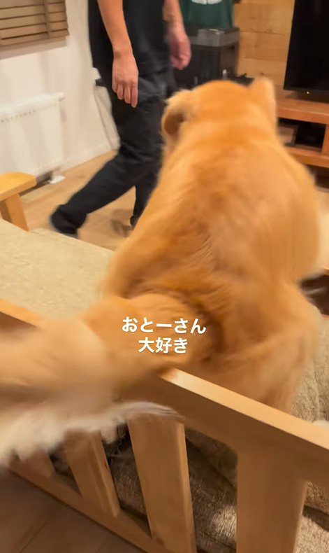 パパさんに甘えるモッシュくん