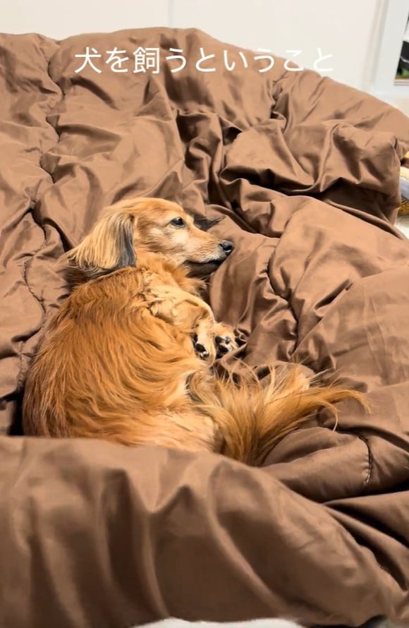 布団を占領するティナちゃん