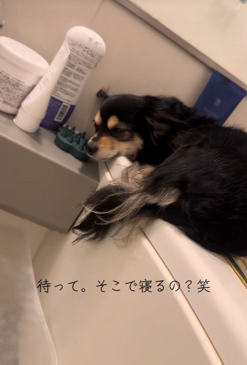 お目目を開けたかと思うと…