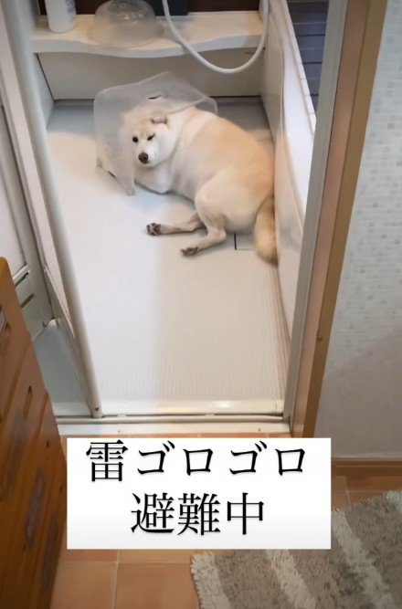 「ここが安全なの…」