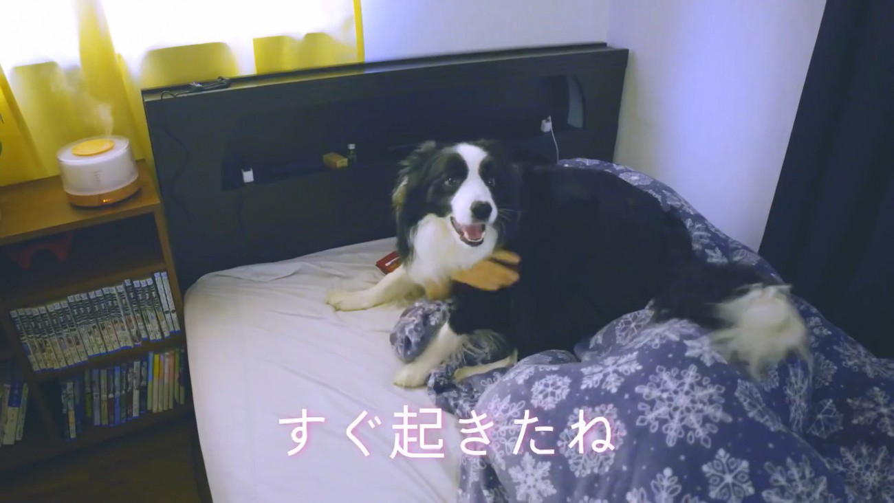 パパさんに会えて嬉しそう♪