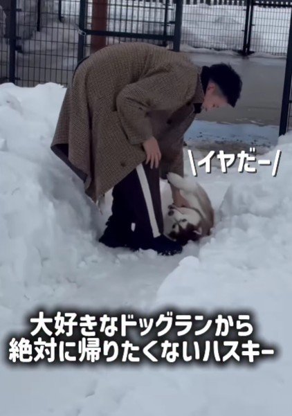 お気に入りのドッグランへ