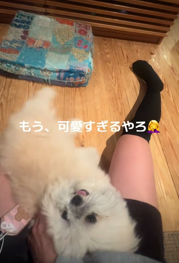 ヘソ天するるるちゃん1