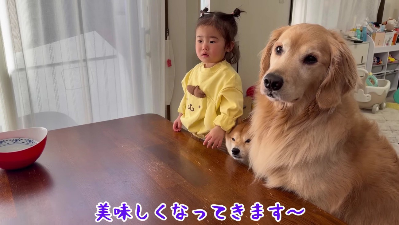 完成が待ちきれなくて…