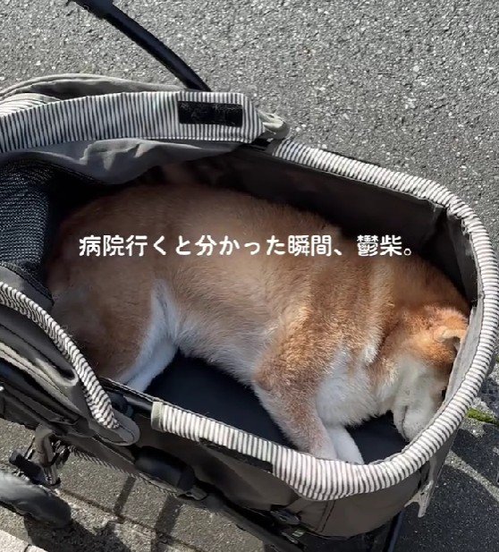 病院に行くことを察すると…