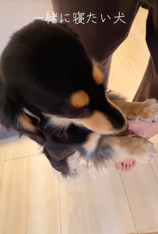 紬ちゃんのおねだり2