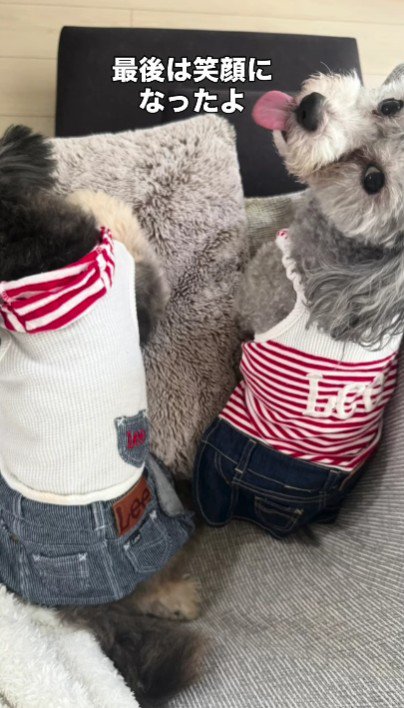 最後は笑顔になれるよ