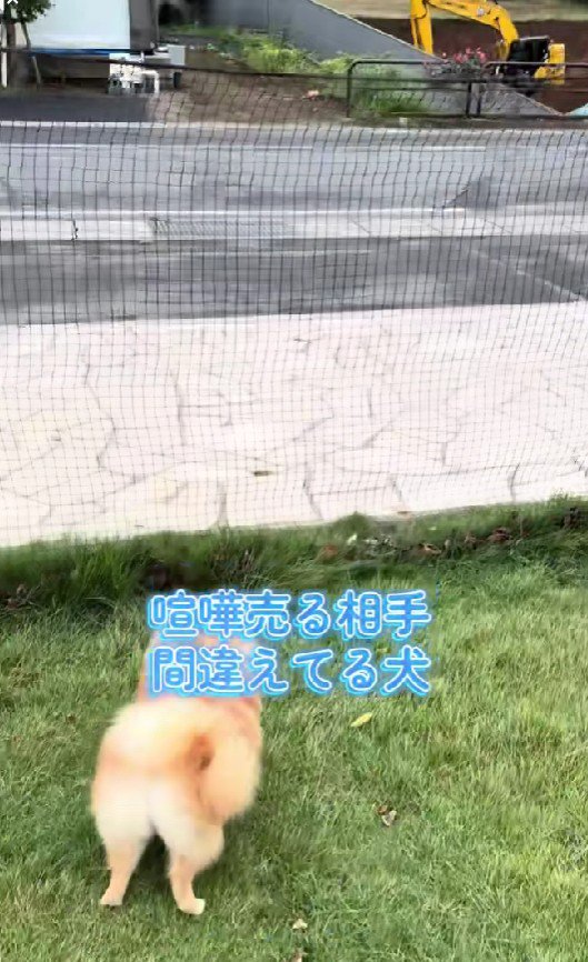 吠える先にいたのは…