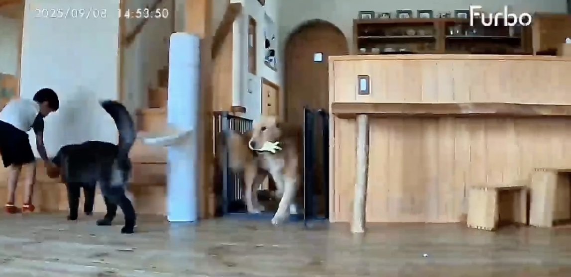 お水を変えてあげました