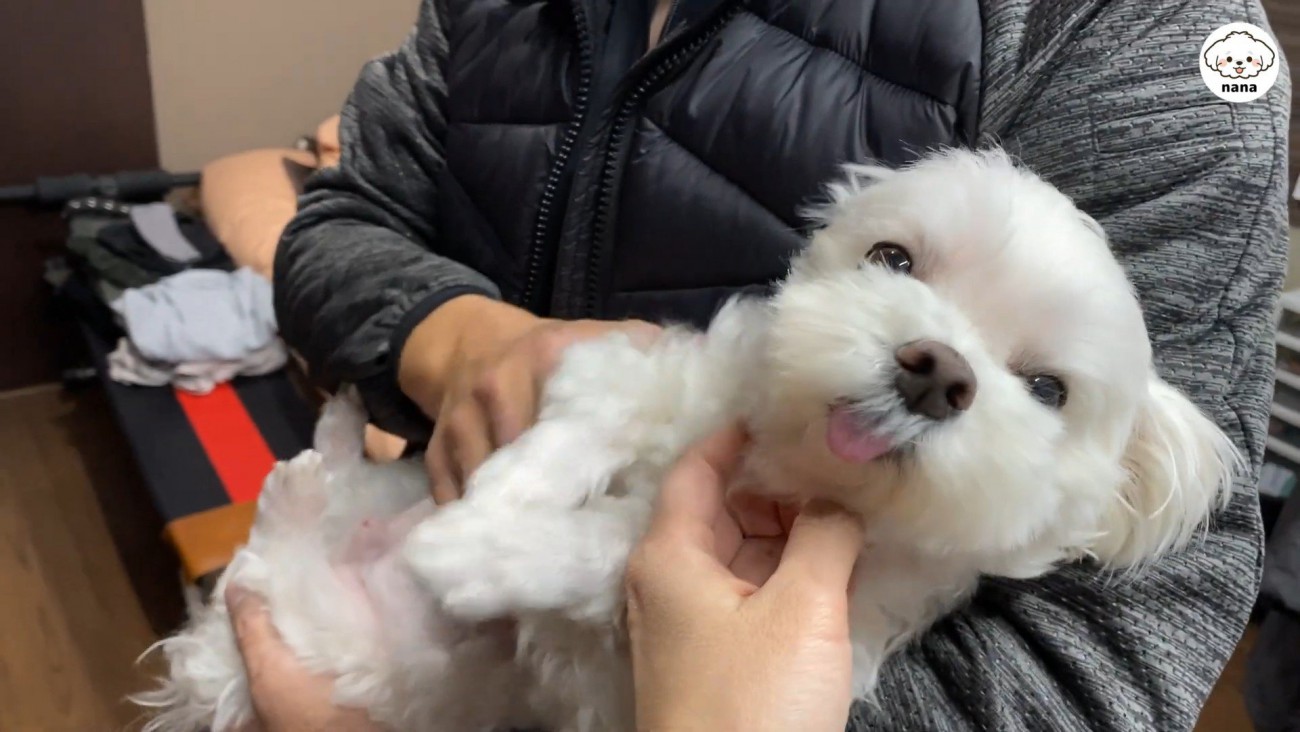 ナナくんとパパさんの再会6