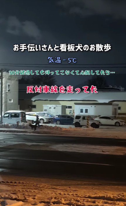 積雪の上とは思えない華麗な走り