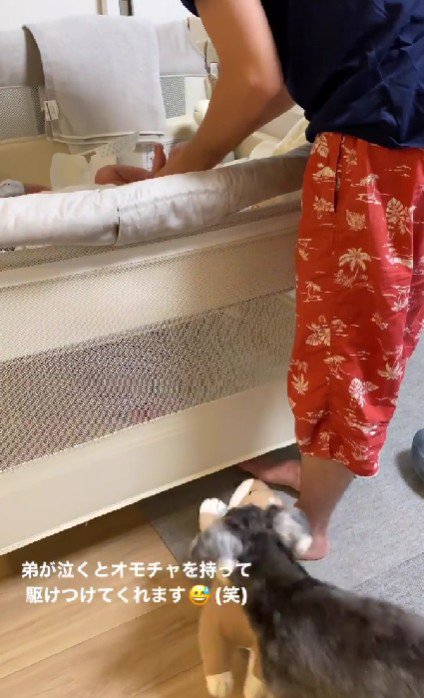 「これこれ！！」