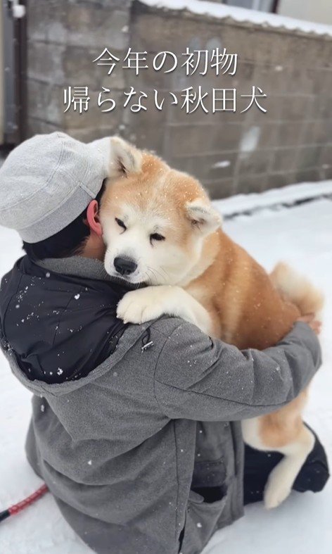 お家まで抱っこしてあげることに