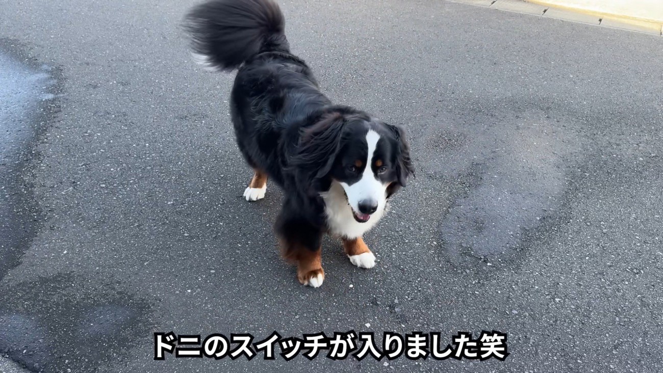スイッチオン！