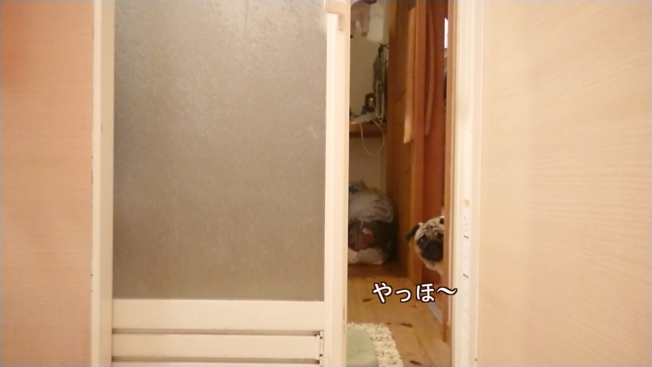 そばで待っていてくれるよう