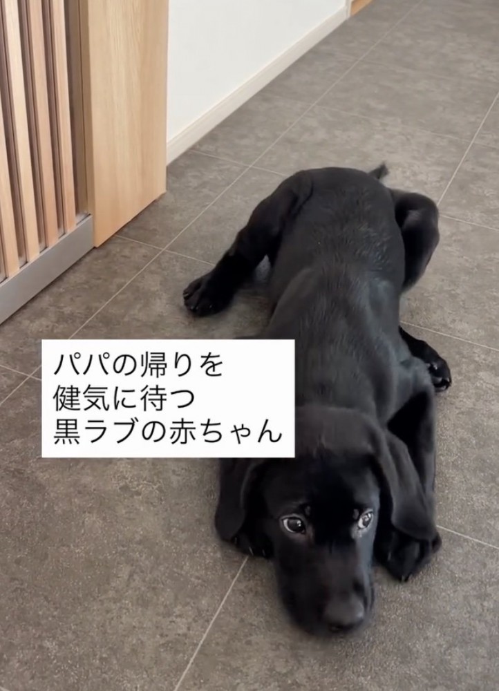 パパが早く帰ってきますように