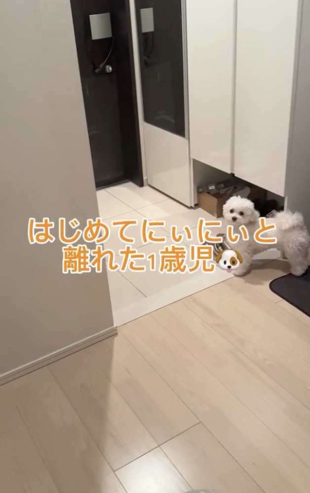 初めて離れ離れに