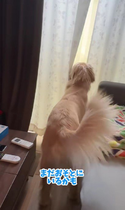 「まだ庭にいるかも…」