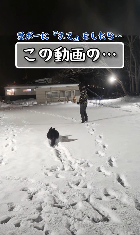 くるっと振り向いたら…