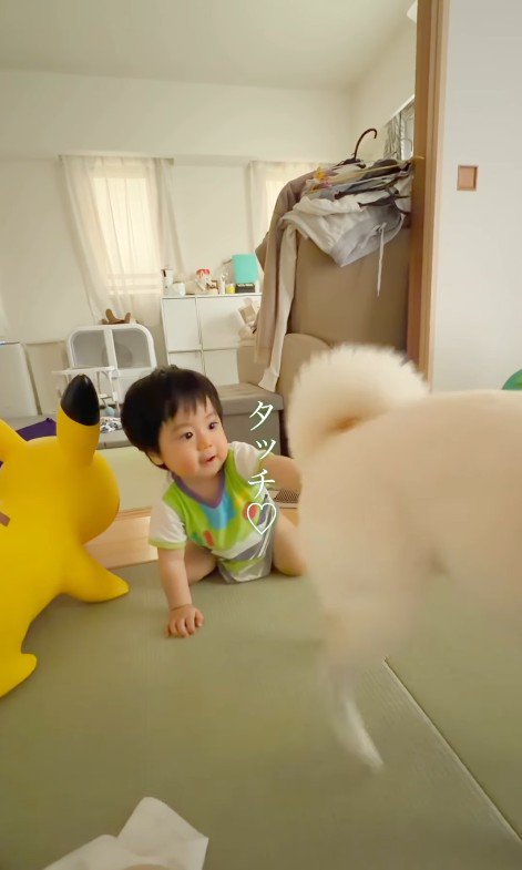 おまめちゃんと赤ちゃん7