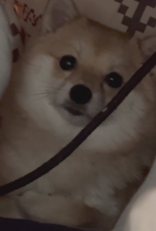 「まさか見てないよね…？」