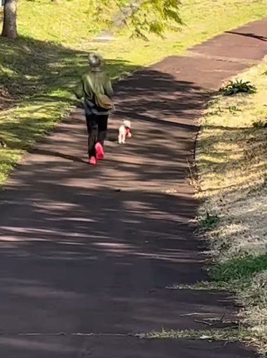 「パパ、転ばないかな？」