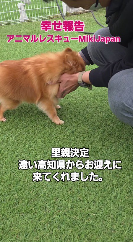 犬の顔を撫でる家族