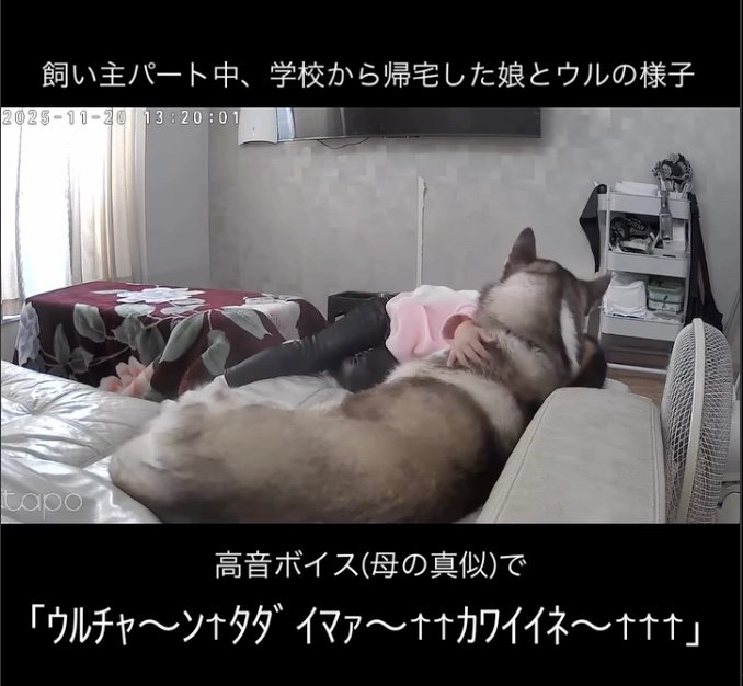 「ウルチャァァァン！！」