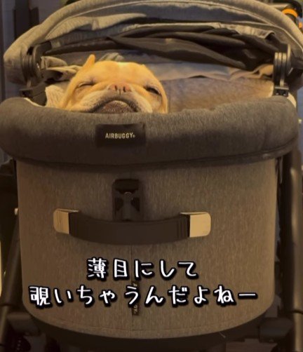 「まだかな？」