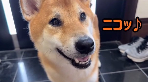 笑顔のボブくん