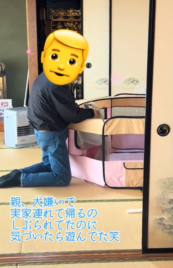お父さんとキャシーちゃん