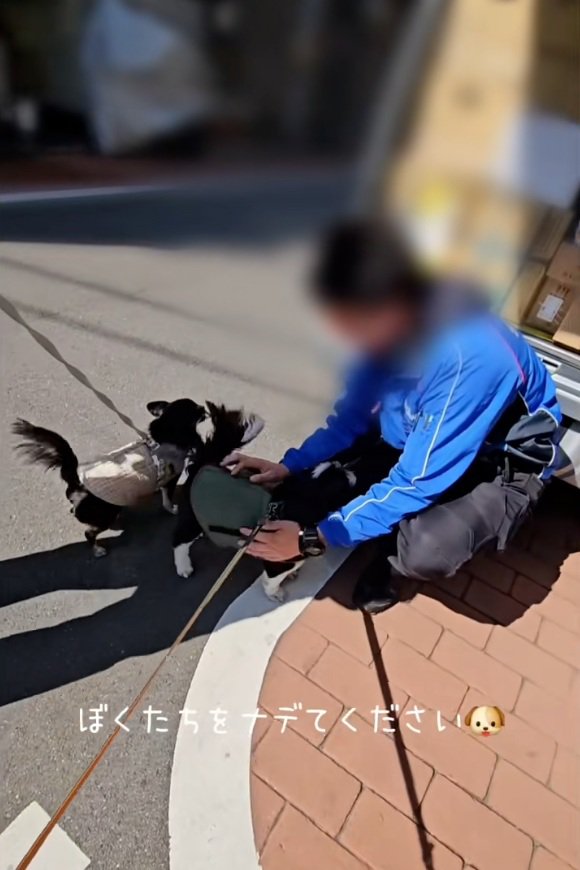 ライタくんを撫でるお兄さん