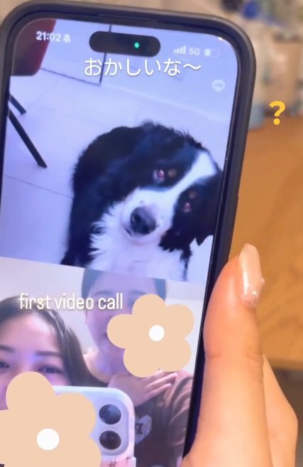 不思議そうなハリーくん