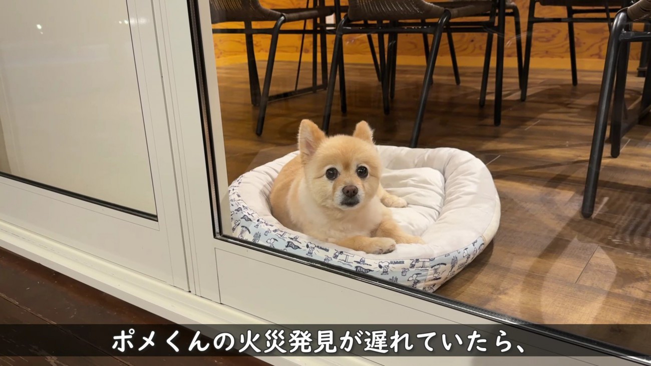 通報は一人目だった