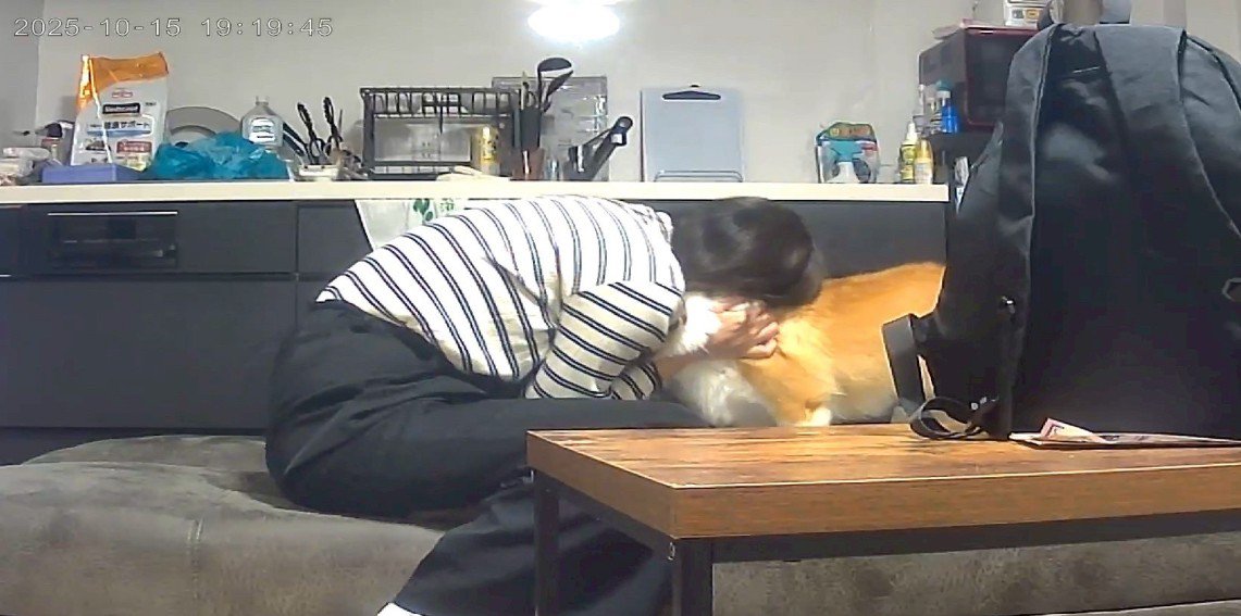 お留守番中のポムちゃん⑩