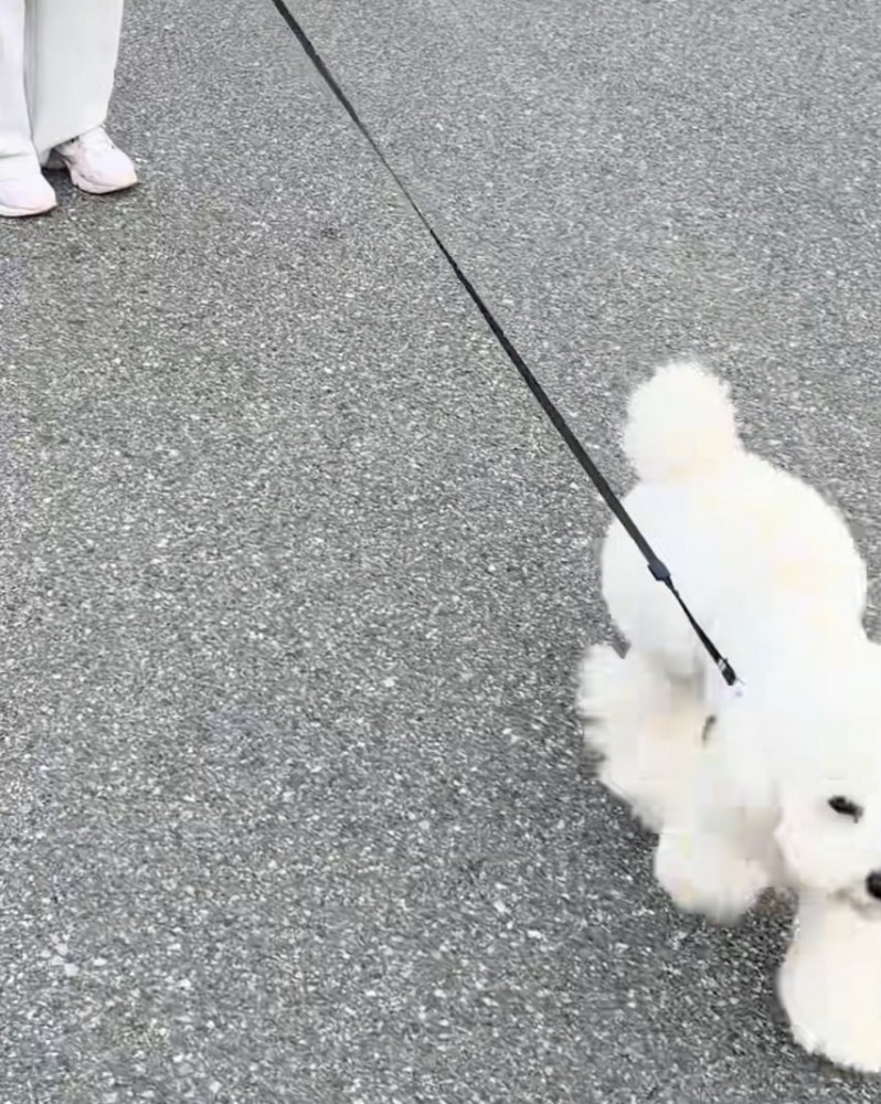 「おかえりー！」
