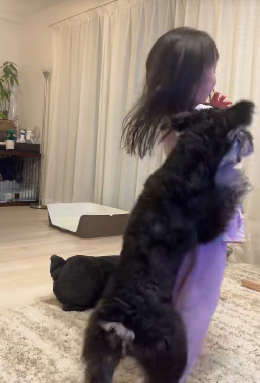 テンちゃんの構って攻撃！