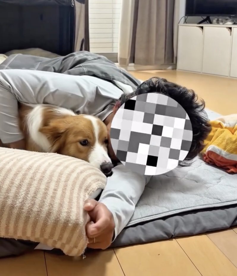 パパ、たまらずナルくんをハグ
