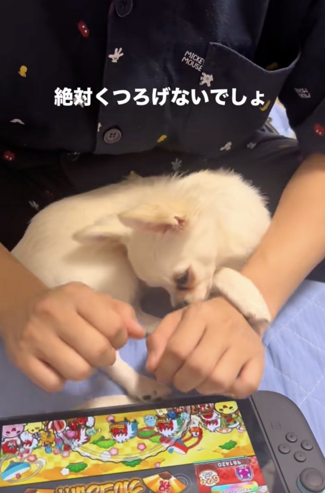 揺れがお気に入り？